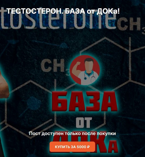 [Андрей Егоров] Тестостерон. База (2024)_0.png